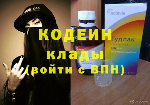 молекула духа Михайловск
